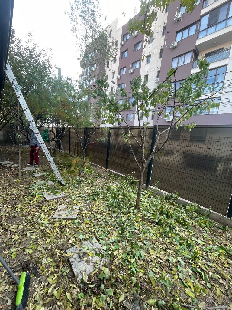 Gradini de vis amenajări