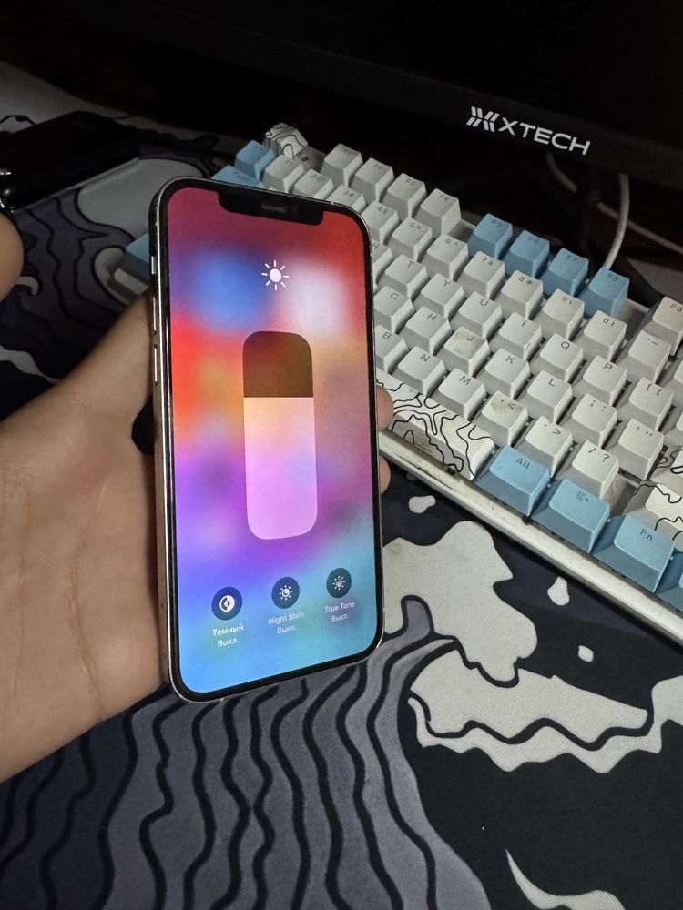 Iphone 12Pro Ideal 100%