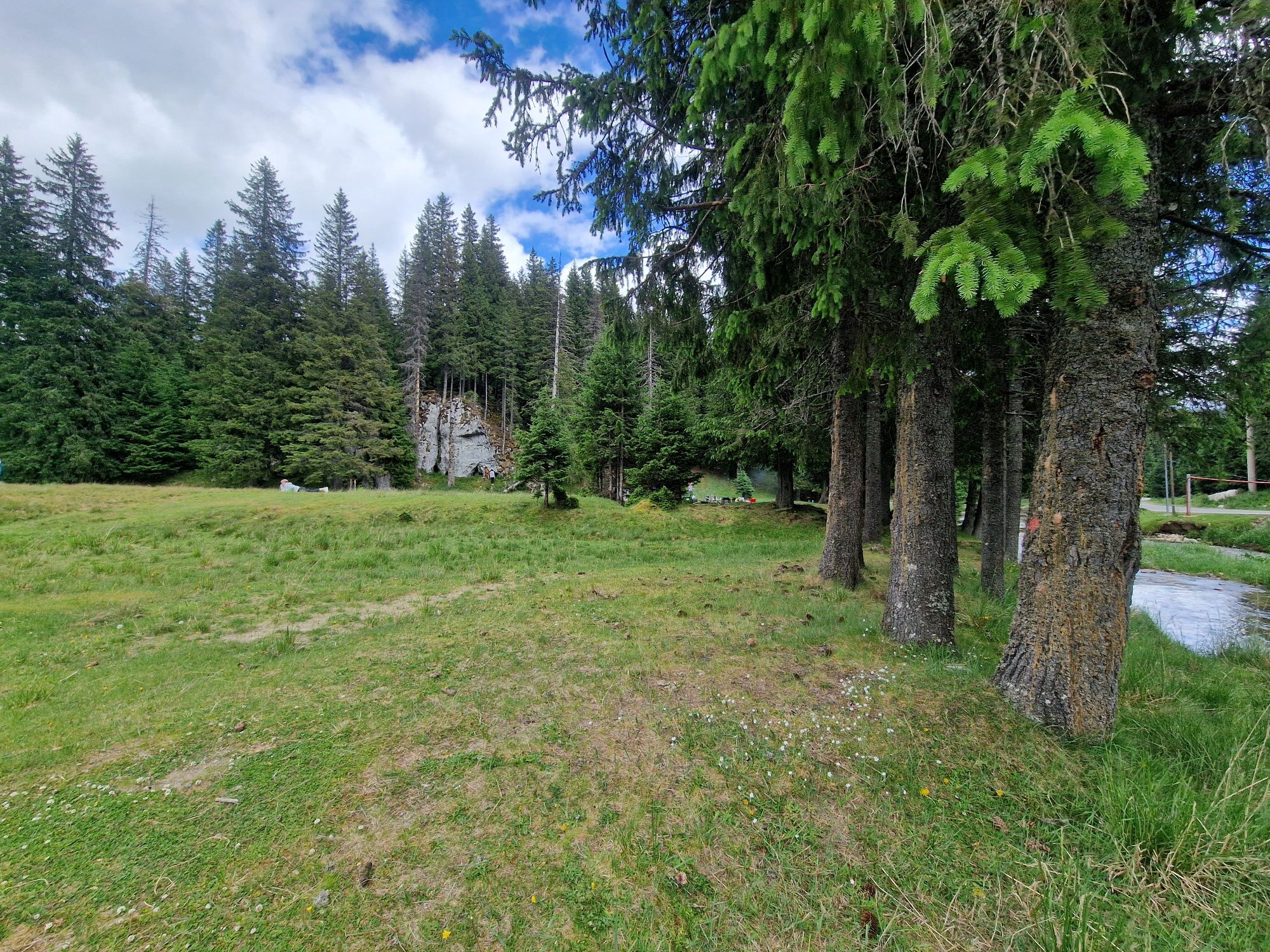 Vand teren cu apă și pădure!