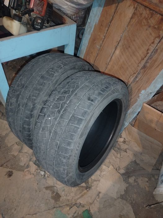 Зимние Болны r18