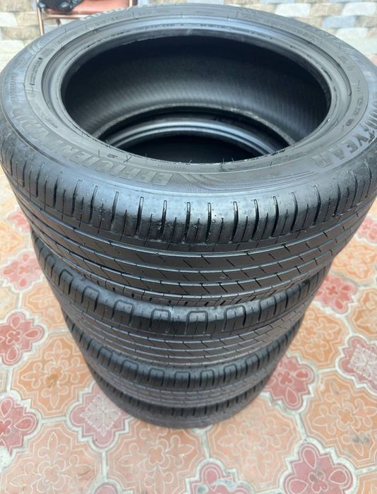 R17 Epica_kobalt_inamarkalaga