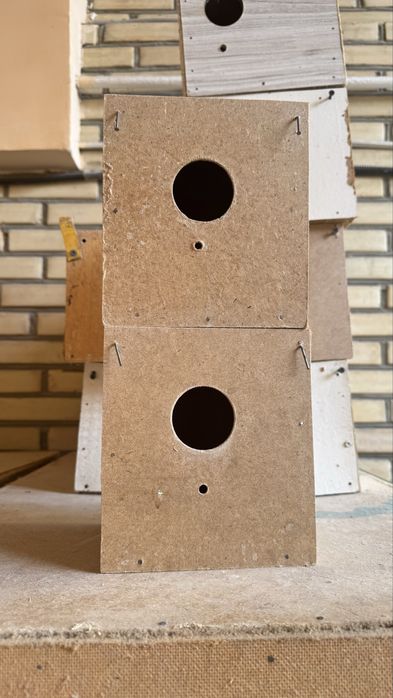 Qushlar uychasi tezda sotiladi