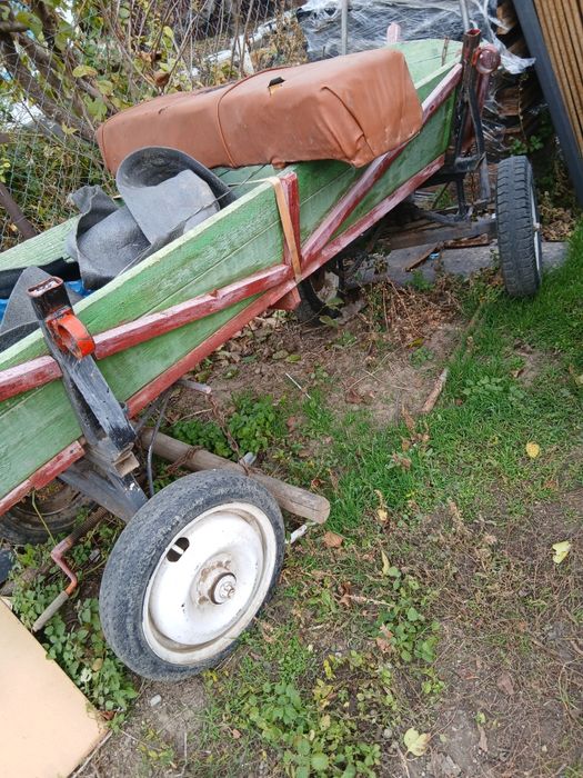 Ponei iapă și manză