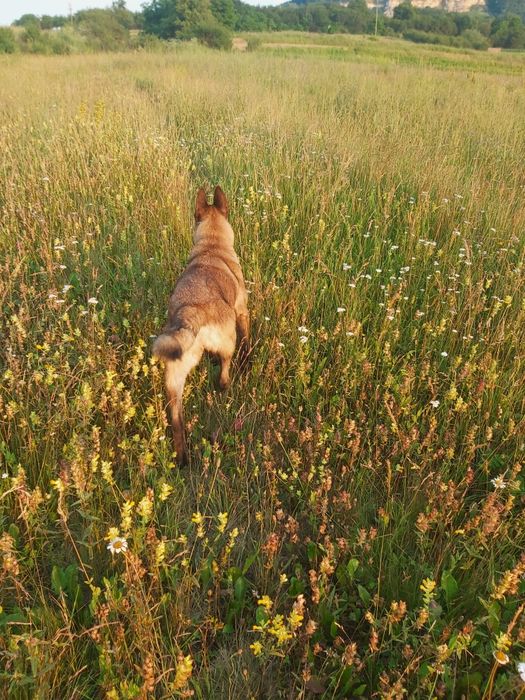 Hera in căutarea unei familii iubitoare
