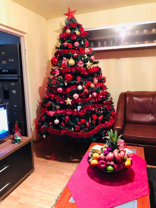 Vand brad artificial craciun