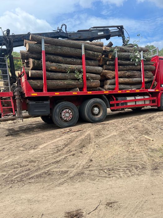 Vând Mercedes Actros( 400cp) Forestier