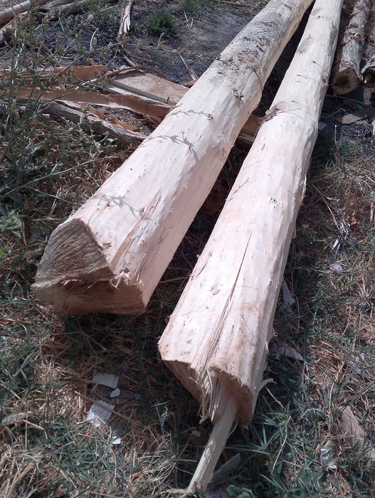 Yangi toʻsinla sotiladi Chirchiq da