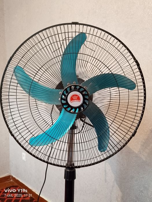 Ventilyator (vintilyator )
