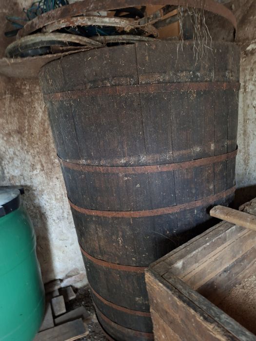 Vând putini bune de 650 kg si 900 preț bucată 2.500 lei
