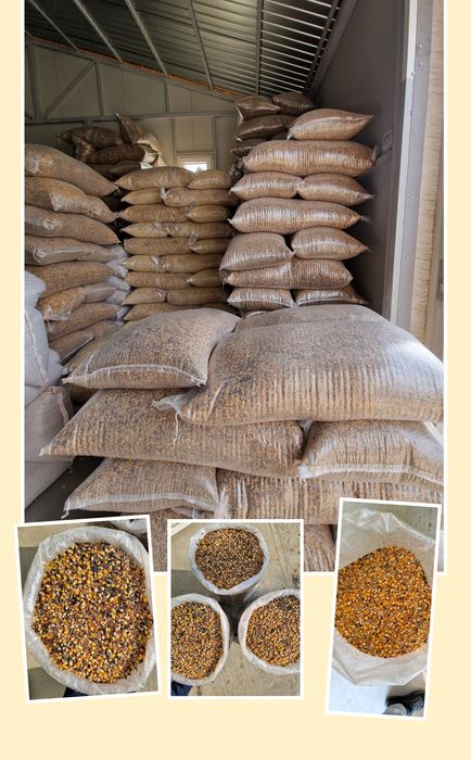 Mâncare de baza pentru păsări/porumbei AMESTEC CEREALE/SEMINTE