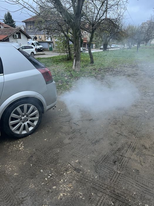 Opel Signum OPC Line