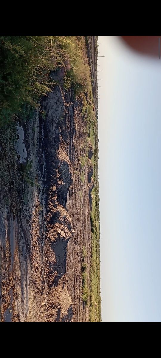 Халкабадда жер план сатылады