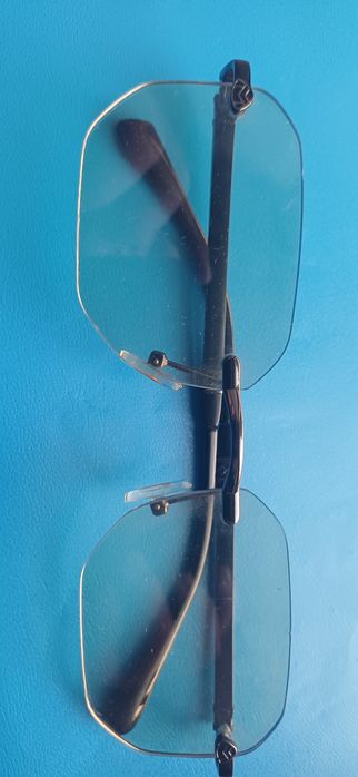 Солнцезащитные очки и хамелеон