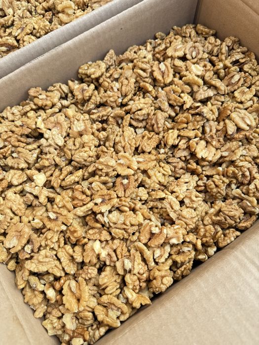 Vând jumătăți miez de nuca alb 2025!