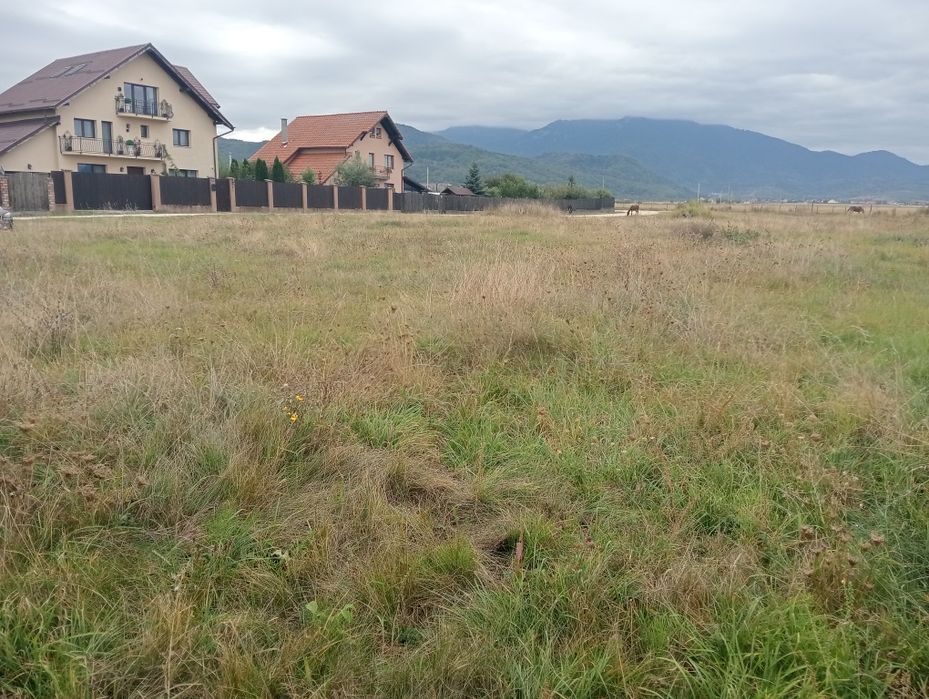 Teren intravilan de construcții case 800+900 metri la munte Glejerie R