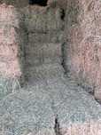 Lucerna coasa 1 balot