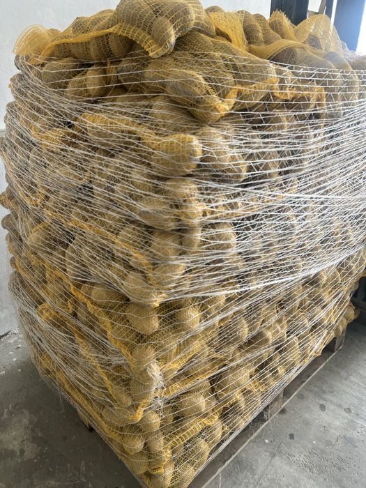 Vând Cartofi Soraya Si Bellarosa Polonia Calitate de Top