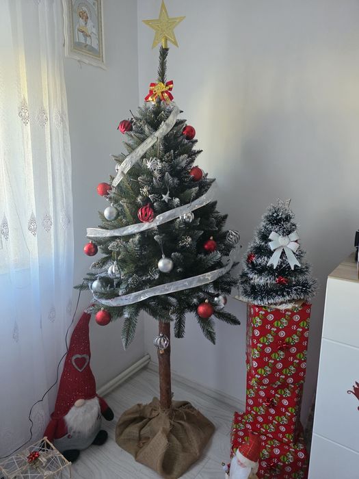 Brad cu trunchi nou, aspect natural