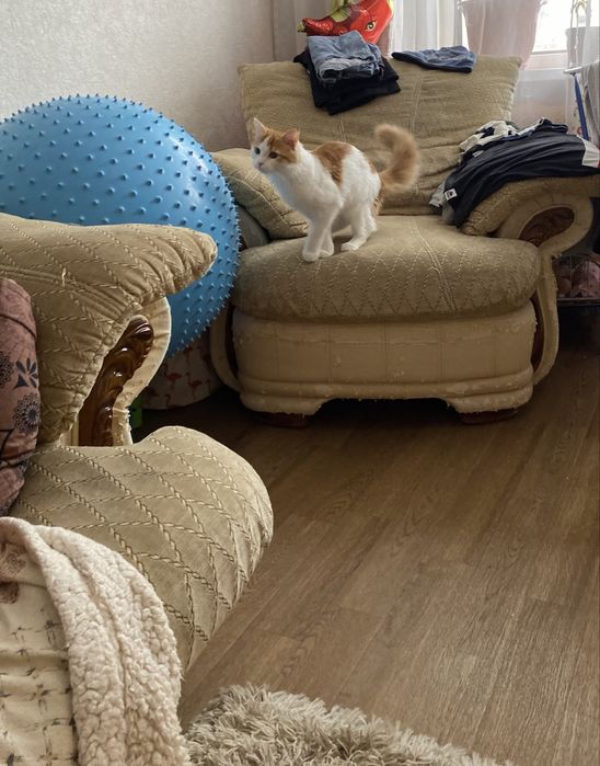 Мягкий уголок (диван+2кресла) б/у