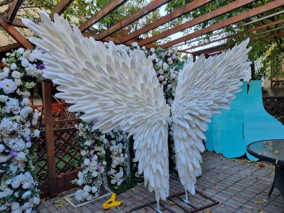 Aripi de inger disponibile pentru inchiriat