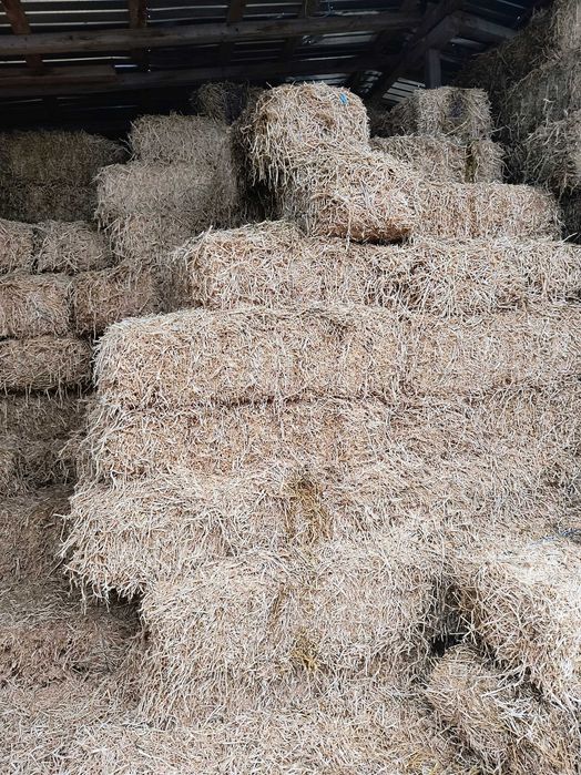 Baloți paie mazare