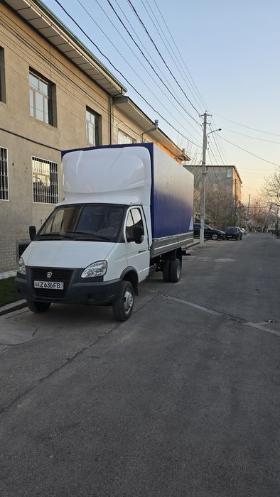 Gazel  Газел. 2016 й