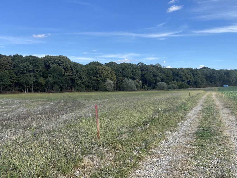 Teren intravilan cu deschidere la padure 3800m