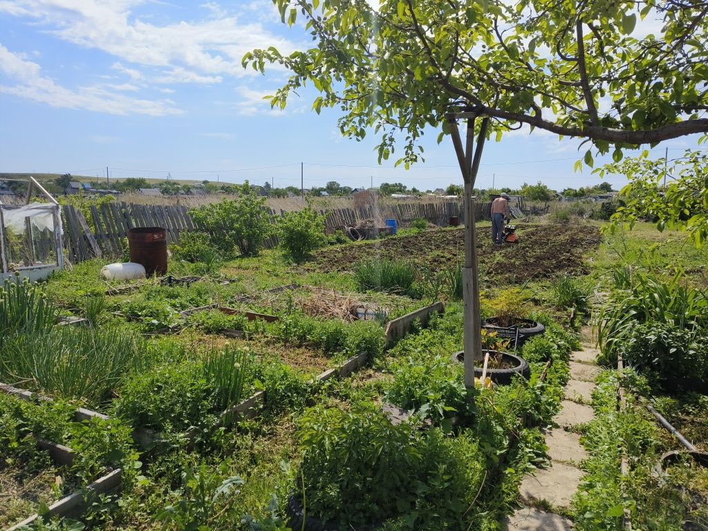 Продам дачу в городе 11 линия