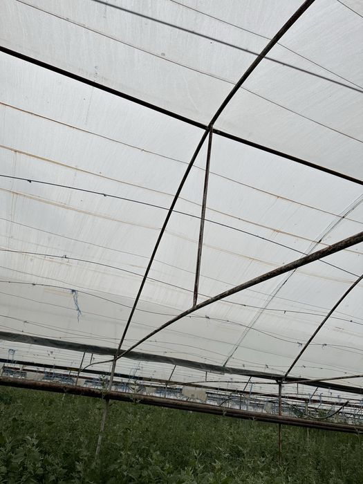 15 сотых парник сотилади. Холати яхши. Сотихи 2 ярим миллиондан