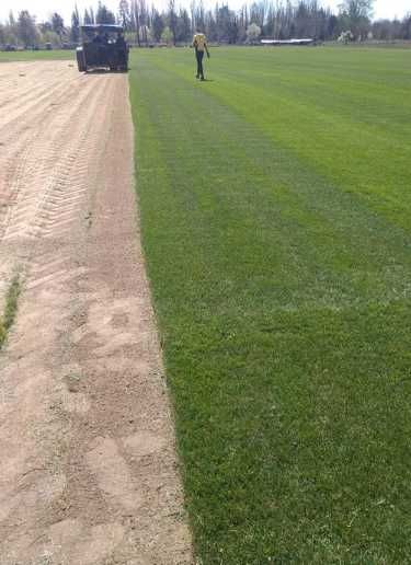 Sisteme de Irigare si Gazon Rulou