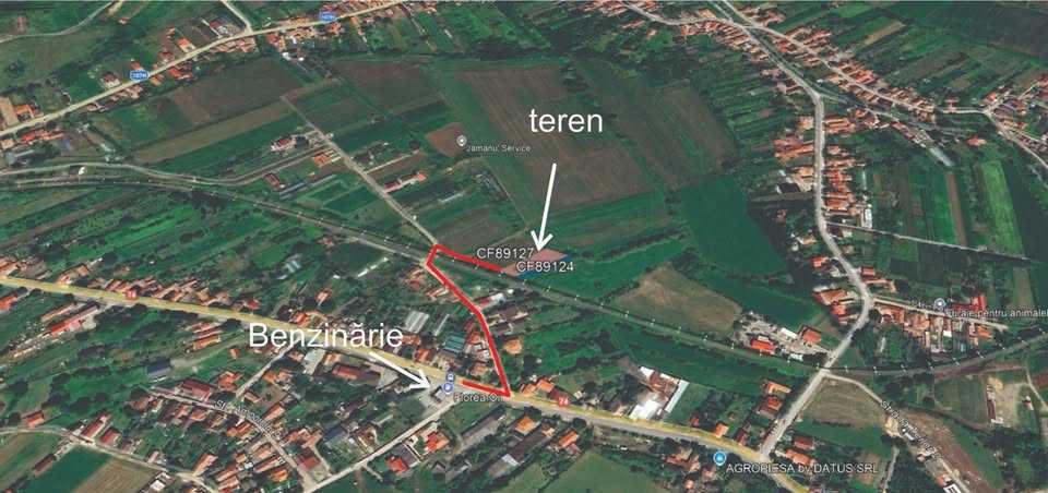 Teren intravilan la Șard