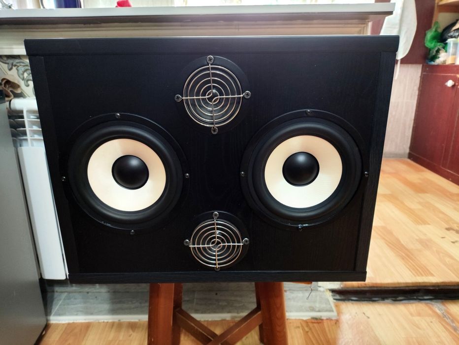 Колонка 2х полосная  100 Ватт