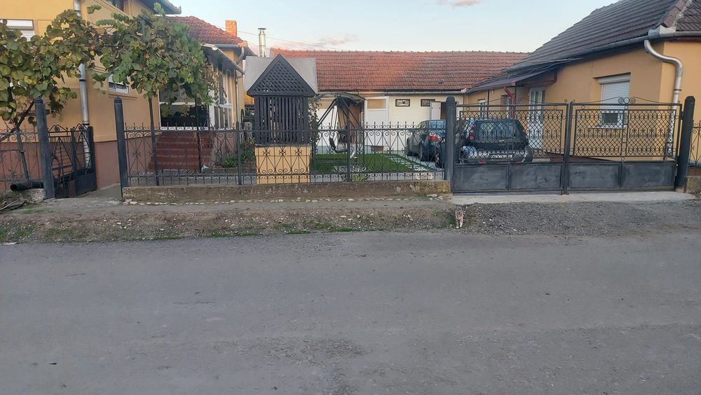 Vând gard și poarta