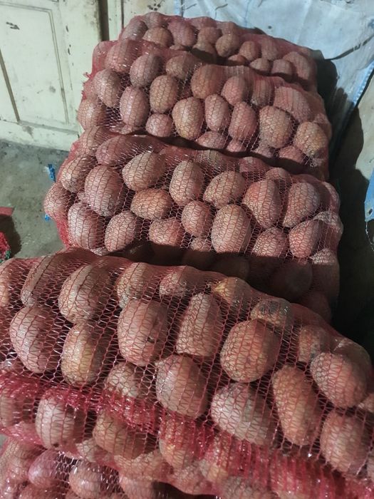 Vând cartofi consum