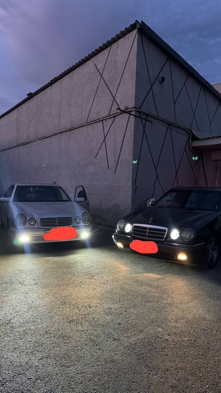 W210 elegant srochniy sotladi