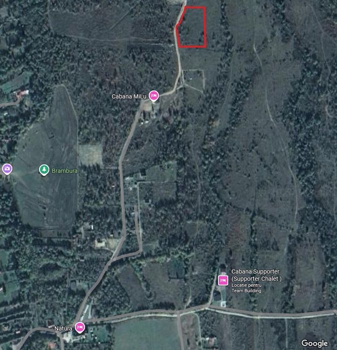 Vând teren - Valea Avrigului