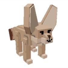 Fennec Fox 30 лет
