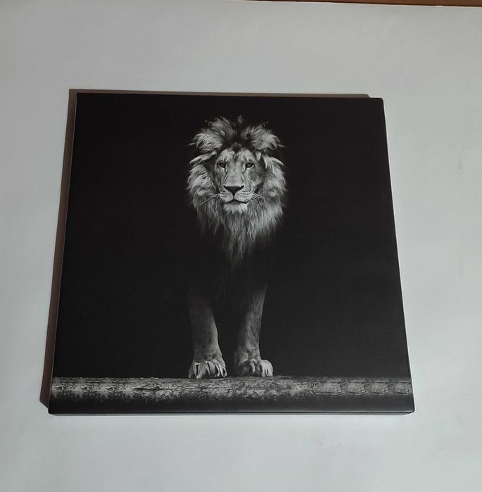 Картина черно-бял принт върху полиестерно платно в дървена подрамка