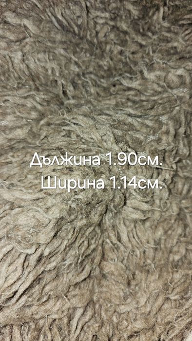 Бежов и червен китеници