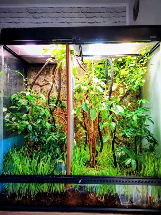 Vând terariu exo terra