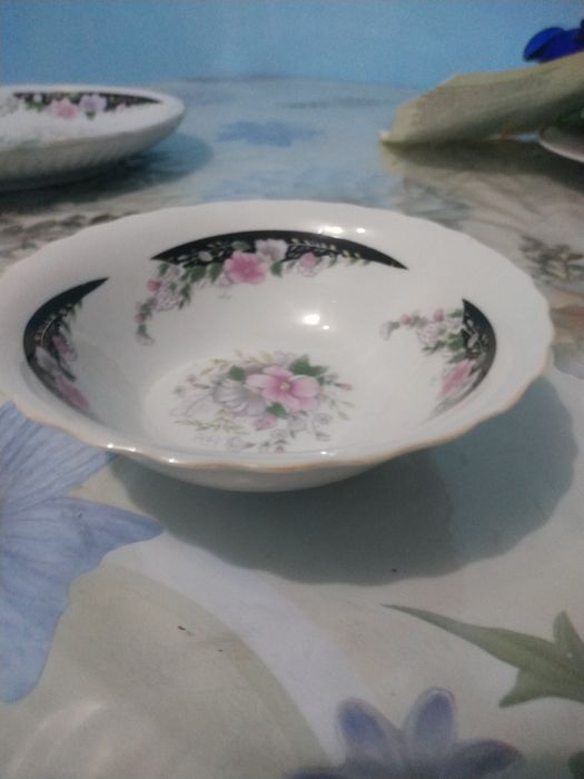 Коракош тарелкалар коса пиела