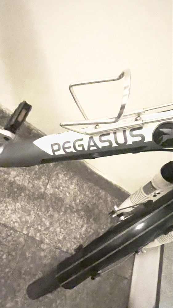 Градски велосипед Pegasus Piazza – Немско качество / Варна