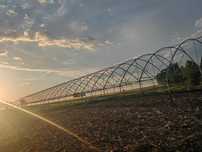 Vand  solar pentru legume