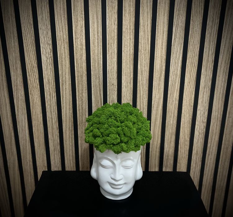 Decor natural premium din licheni stabilizați