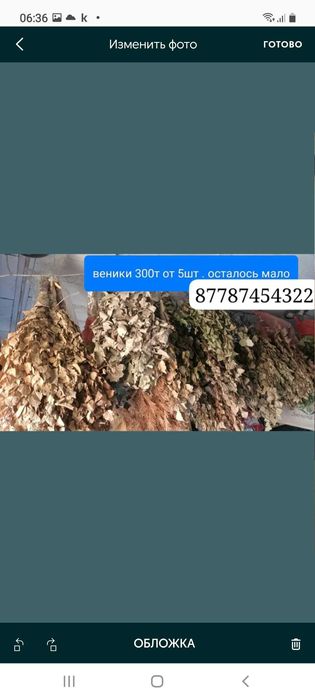 Продам веники для бани береза