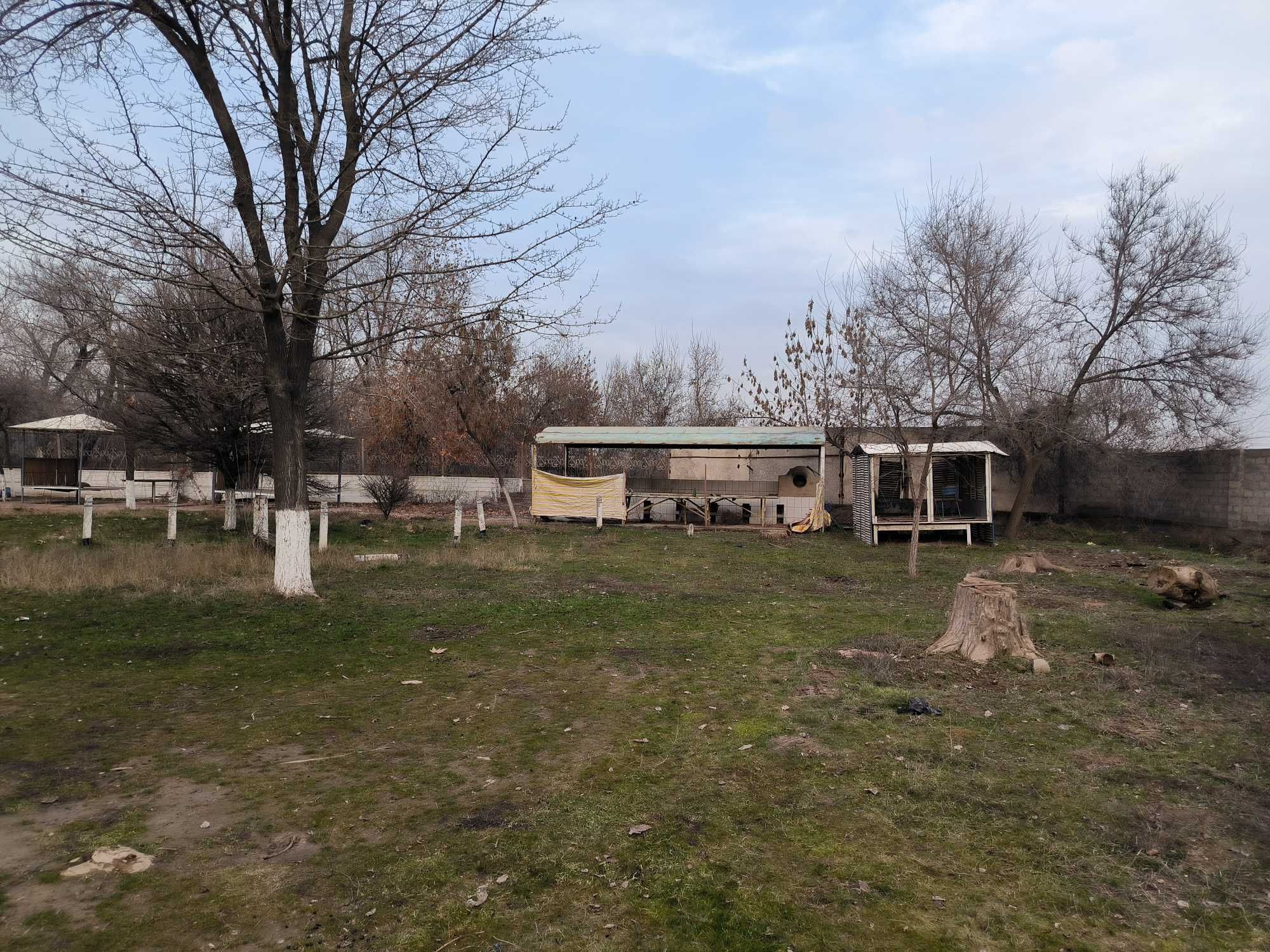 Sirdaryo daryosidan 200 m masofada Dam Olish Maskani sotiladi.