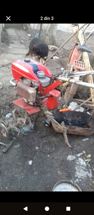 Motosapa benassi