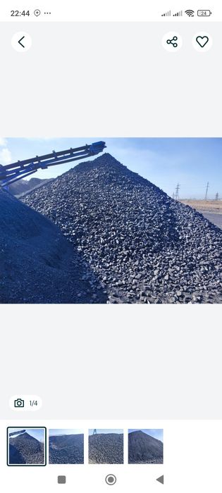 Козок кумир сотилади отбор хока