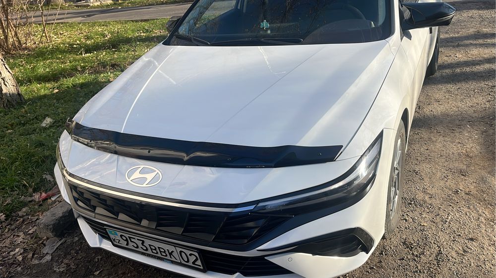 Мухабойка Elantra