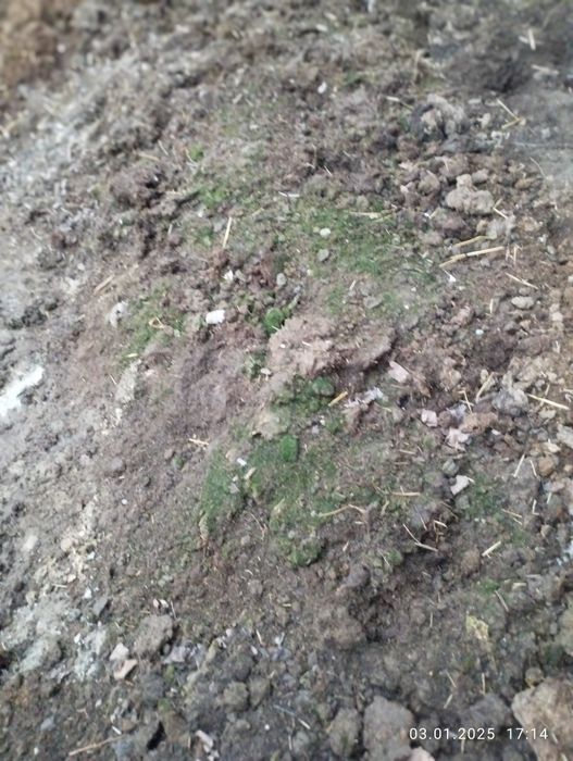 Пори , биогомус сотилади